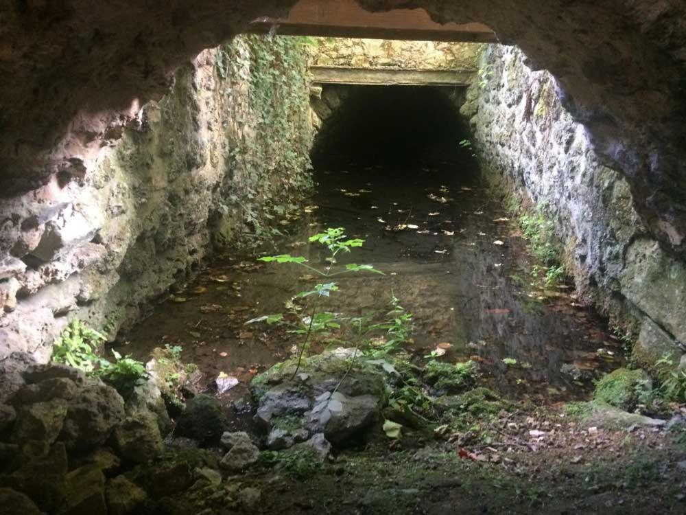 Вилла Le Moulin De Vaugien Сен-Реми-ле-Шеврёз Экстерьер фото